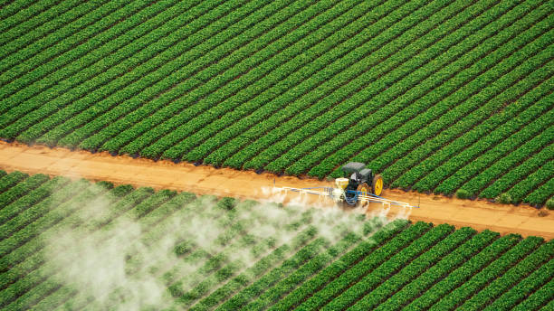 Best Pest Prevention Services  in White Knoll, SC