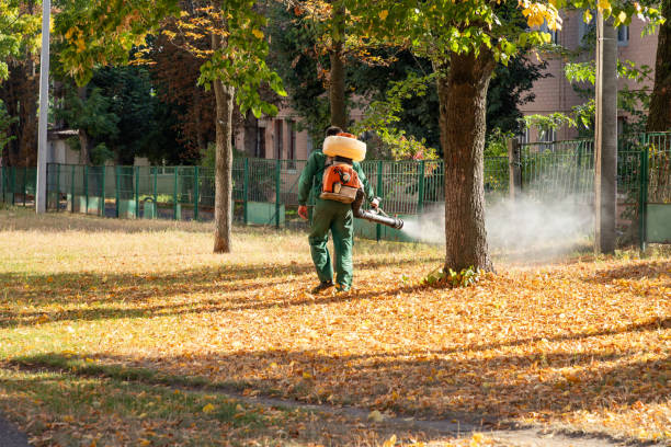 Best Spider Control Near Me  in White Knoll, SC