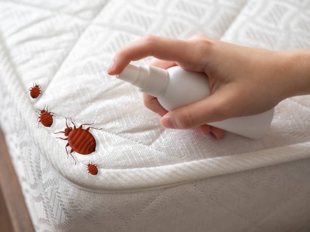 Best Affordable Pest Control Services  in White Knoll, SC