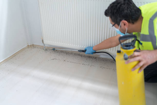Best Residential Pest Control  in White Knoll, SC